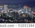 從Maruyama Hanakien看的靜岡市夜視圖 51031384
