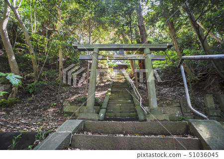 八幡神社（鎌倉市） 51036045