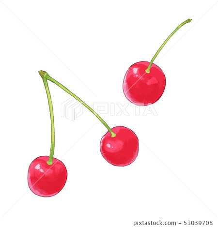 Cherry 51039708