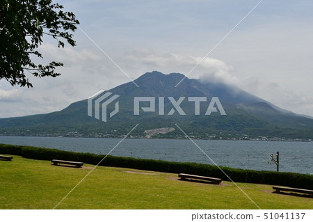 Senjoen Shimadzu Bettei Daimyo Garden Senjoen Shimadzu Bettei Daimyo Garden 51041137