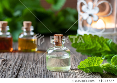 A bottle of melissa essential oil with melissa A bottle of melissa essential oil with melissa 51043727