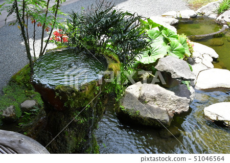 Senjoen Shimadzu Bettei Daimyo Garden Senjoen Shimadzu Bettei Daimyo Garden 51046564