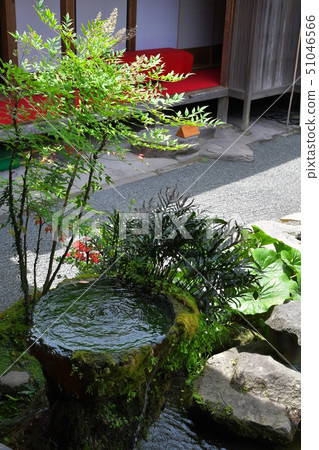 Senjoen Shimadzu Bettei Daimyo Garden Senjoen Shimadzu Bettei Daimyo Garden 51046566