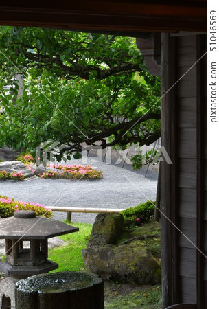 Senjoen Shimadzu Bettei Daimyo Garden Senjoen Shimadzu Bettei Daimyo Garden 51046569