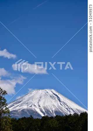 富士山和森林〜富士山和森林。 富士山和森林〜富士山和森林。 51049973