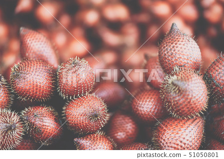 Salacca wallichiana is asia fruit at fruit market 51050801