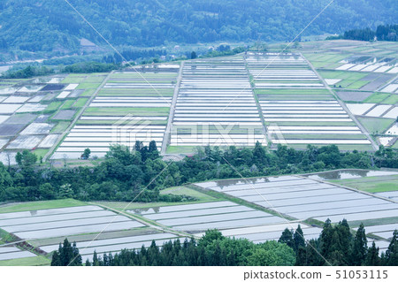 Ikegahara, Ojiya City, Niigata Prefecture Landscape of rice fields and cultivated land covered with spring water 51053115