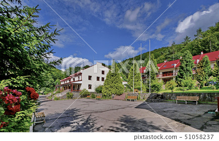 Asphalt track with wooden benches and high conifer Asphalt track with wooden benches and high conifer 51058237