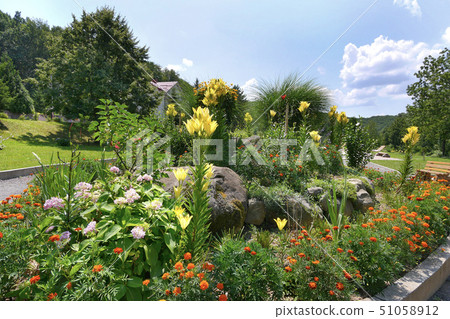 Tall yellow lilies and blackberry fill the flower 51058912