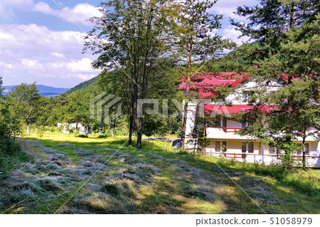 freshly mown grass near a pretty house with a tile freshly mown grass near a pretty house with a tile 51058979