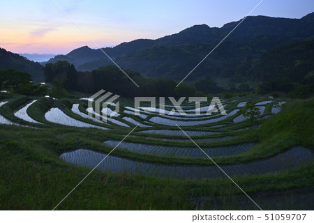Oyama Senmaida in the morning [Kamogawa City, Chiba Prefecture] Immediately after planting rice 51059707