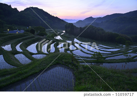 Oyama Senmaida in the morning [Kamogawa City, Chiba Prefecture] Immediately after planting rice 51059717