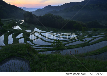 Oyama Senmaida in the morning [Kamogawa City, Chiba Prefecture] Immediately after planting rice 51059720