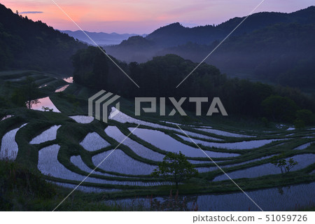 Oyama Senmaida in the morning [Kamogawa City, Chiba Prefecture] Immediately after planting rice 51059726
