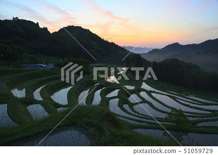 Oyama Senmaida in the morning [Kamogawa City, Chiba Prefecture] Immediately after planting rice 51059729