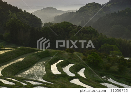 Oyama Senmaida in the morning [Kamogawa City, Chiba Prefecture] Immediately after planting rice 51059735