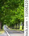 Fresh green Makino plateau Metasequoia tree lined trees 51066220