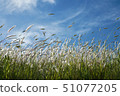 Blue sky 51077205