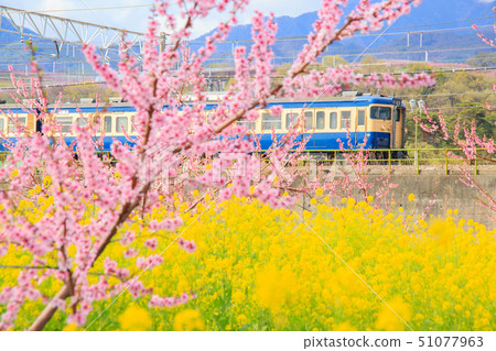 115系列在春季中央幹線上運行 115系列在春季中央幹線上運行 51077963