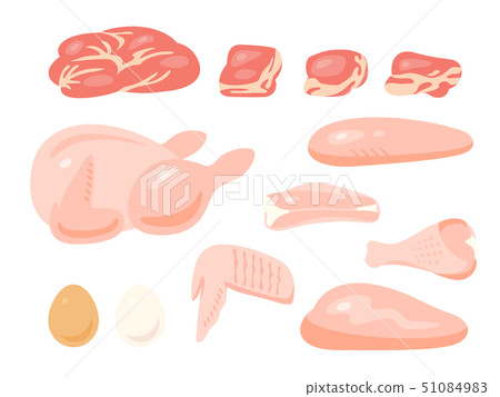 Chicken illustration set (no lines) 51084983