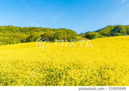 Sannokura高地花園 51093690