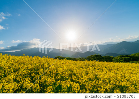 Sannokura highland flower garden Sannokura highland flower garden 51093705
