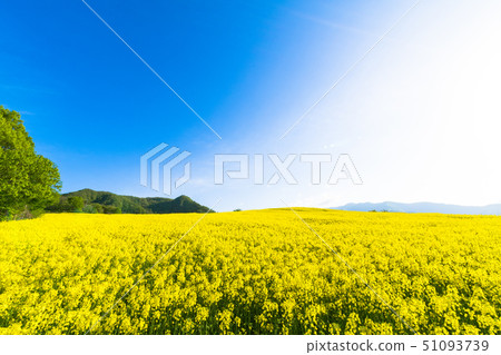 Sannokura highland flower garden Sannokura highland flower garden 51093739