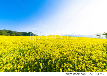 Sannokura highland flower garden Sannokura highland flower garden 51093742