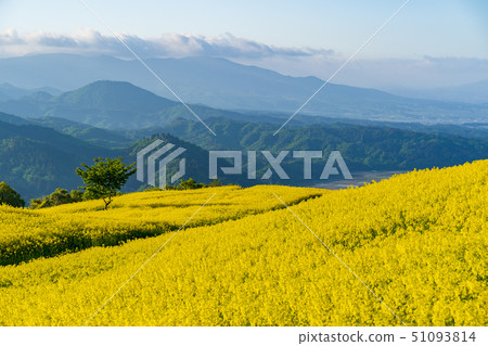 Sannokura highland flower garden Sannokura highland flower garden 51093814