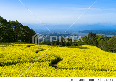 Sannokura highland flower garden 51095853