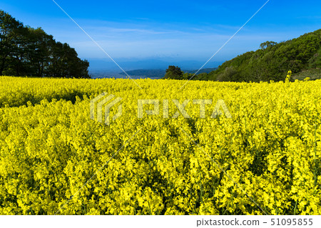 Sannokura highland flower garden 51095855