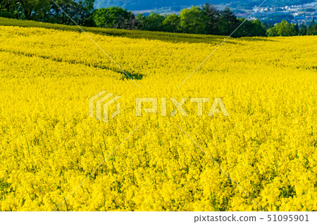 Sannokura高地花園 51095901