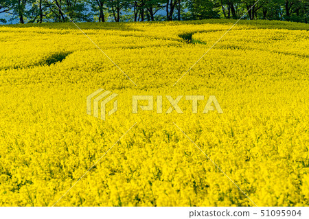 Sannokura高地花園 51095904