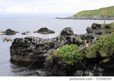 北海道利尻島兒童飼養 51099209