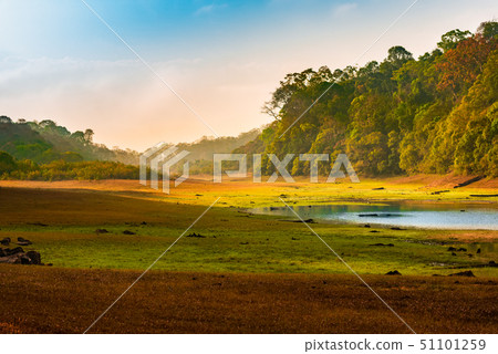 beautiful dawn landscape with wild forest and lake beautiful dawn landscape with wild forest and lake 51101259