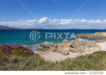Costa Smeralda seascape with beautiful turquoise water and purpl Costa Smeralda seascape with beautiful turquoise water and purpl 51103783