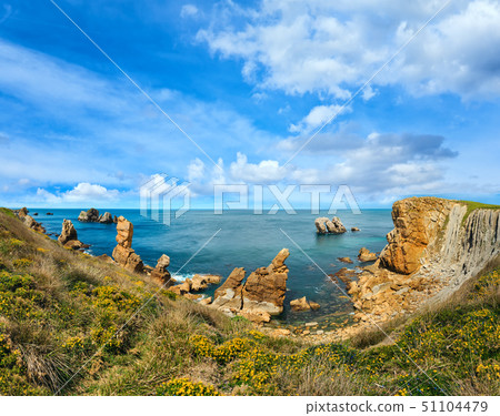 Blossoming Atlantic Ocean coastline. 51104479