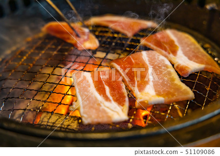 在網上烤的多汁烤肉 在網上烤的多汁烤肉 51109086