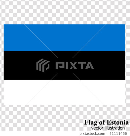 Banner with flag of Estonia. Vector. Banner with flag of Estonia. Vector. 51111466