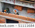 View of masons laying bricks at construction site 51111684