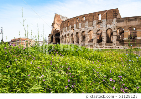 Ancient ruins of Rome (Italy) Colosseum and purple flowers Ancient ruins of Rome (Italy) Colosseum and purple flowers 51129125