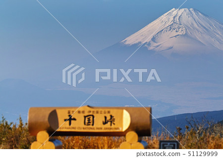 [Shizuoka Prefecture, Izu, Hakone] Mt. Fuji seen from Tokokuen 51129999