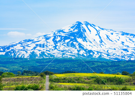 油菜花和Chokai山 油菜花和Chokai山 51135804