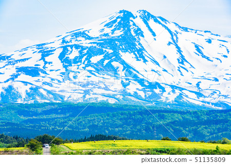 油菜花和Chokai山 油菜花和Chokai山 51135809