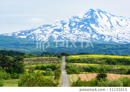  油菜花和Chokai山 51135813