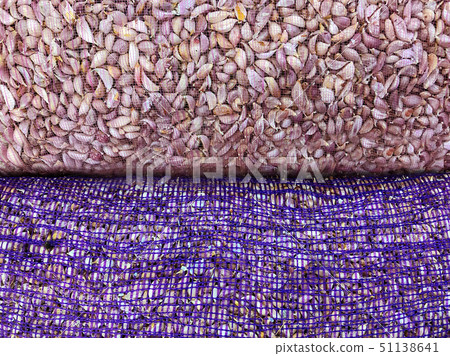 Pile of garlic in net mesh bag for wholesale Pile of garlic in net mesh bag for wholesale 51138641