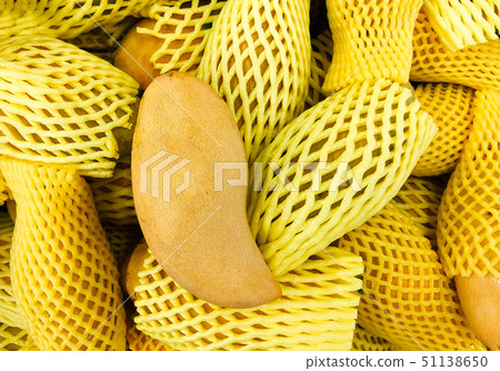 Thai ripe yellow mango on pile of mangoes Thai ripe yellow mango on pile of mangoes 51138650