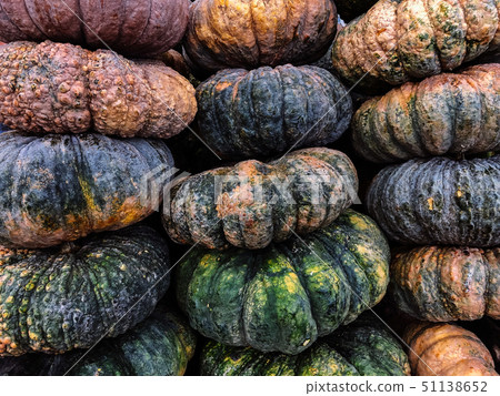 Pile of Thai pumpkins ribbed rough skin Pile of Thai pumpkins ribbed rough skin 51138652