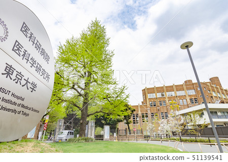 A hospital A hospital 51139541