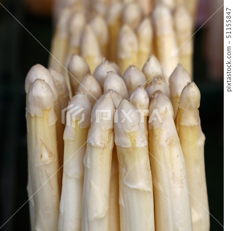 Bunch of fresh white asparagus shoots close up Bunch of fresh white asparagus shoots close up 51155847